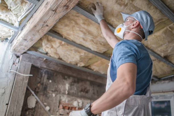 Best Insulation Maintenance and Repair in Loving, NM